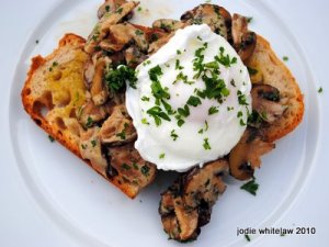 mushrooms and poached egg on sourdough